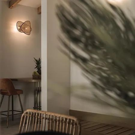 Panorama Daire Lithakia (Zakynthos)